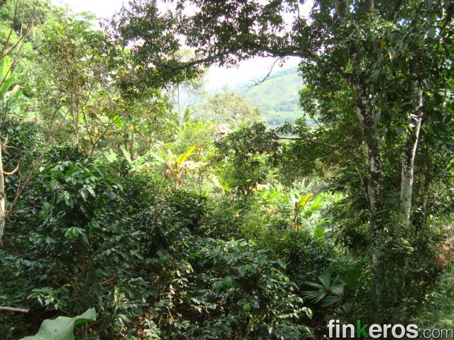 VEREDA RIO BAJO - Finca en Tuluá, Valle del Cauca
